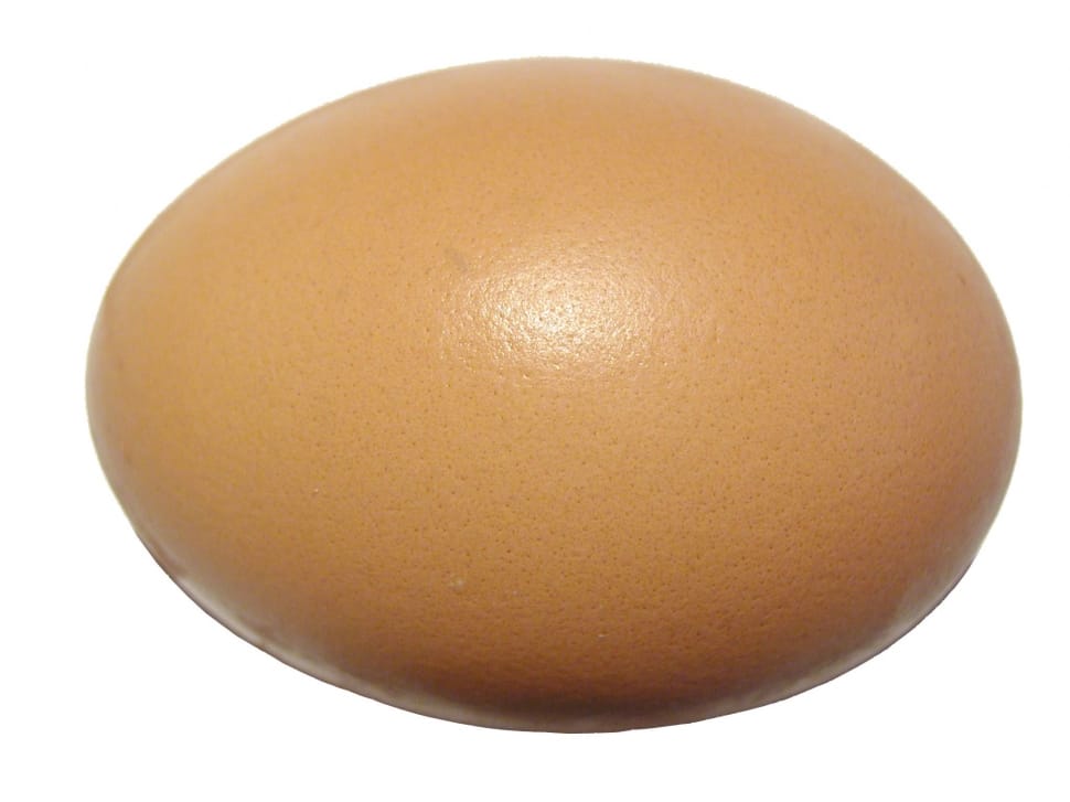 brown egg preview