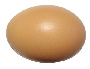 brown egg thumbnail