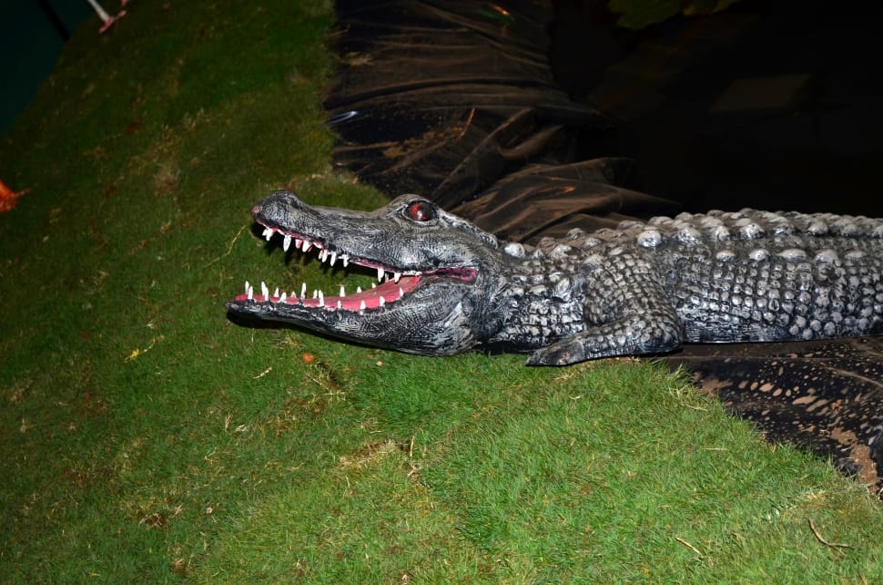 gray crocodile plastic decor preview