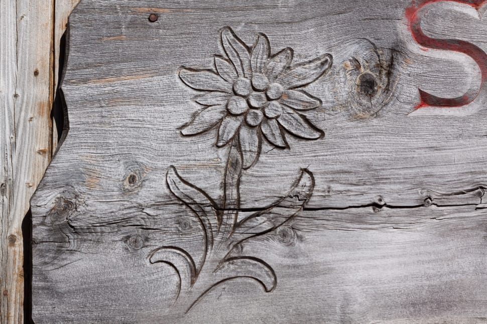 gray flower carving board preview