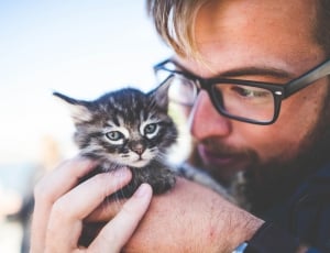 man holding brown tubby kitten thumbnail