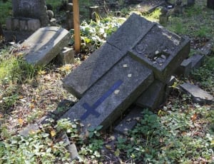 black concrete tombstone on green grass thumbnail