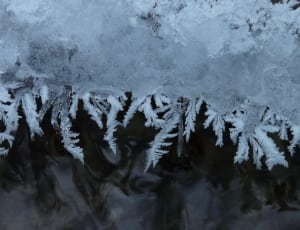 frozen ice thumbnail