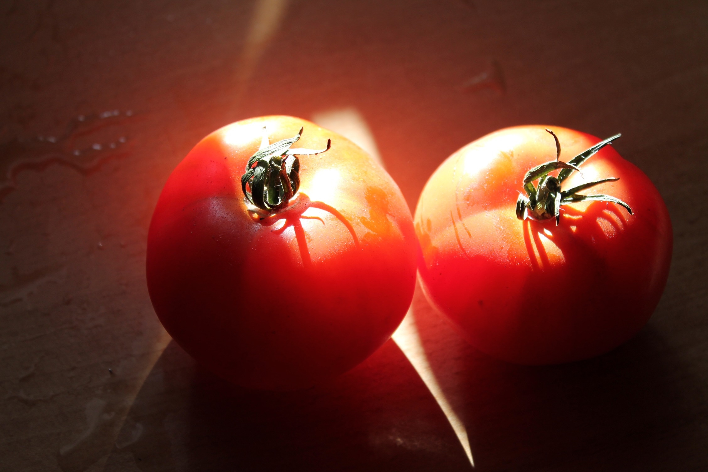2 tomatoes