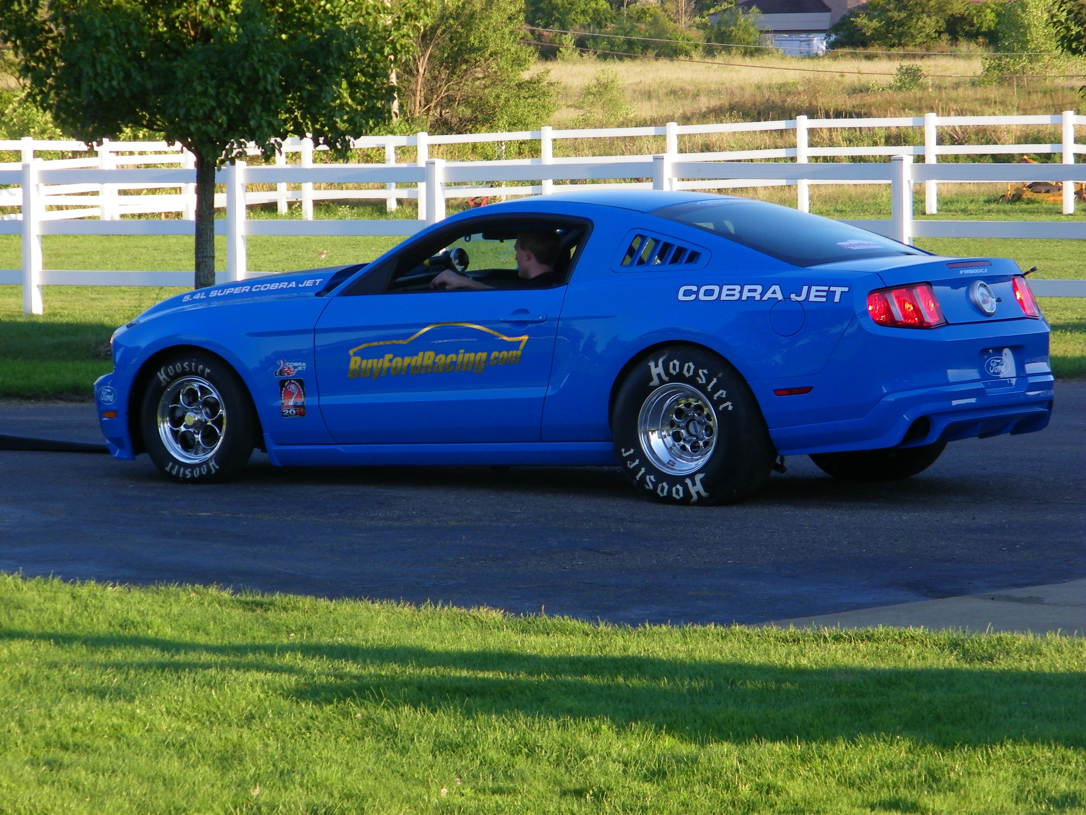 blue cobra set coupe