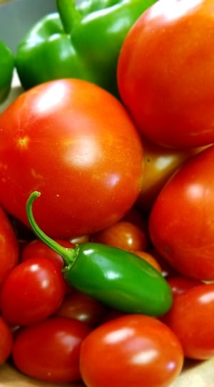 tomatoes thumbnail