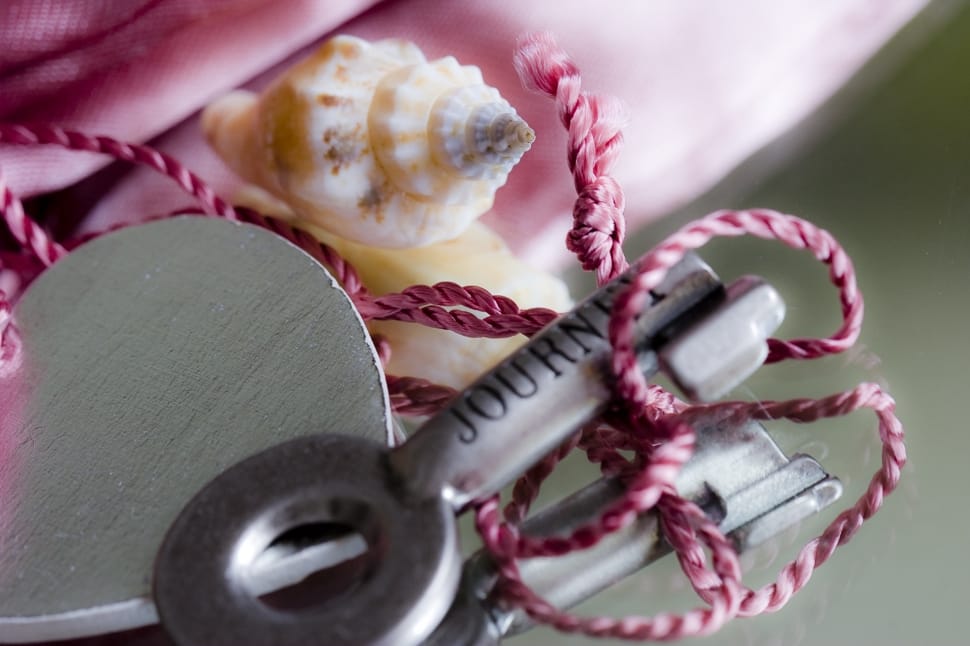 pink rope wrapped around gray steel equipment with conch shell preview