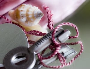 pink rope wrapped around gray steel equipment with conch shell thumbnail