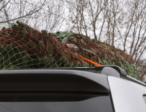green net on top of car thumbnail