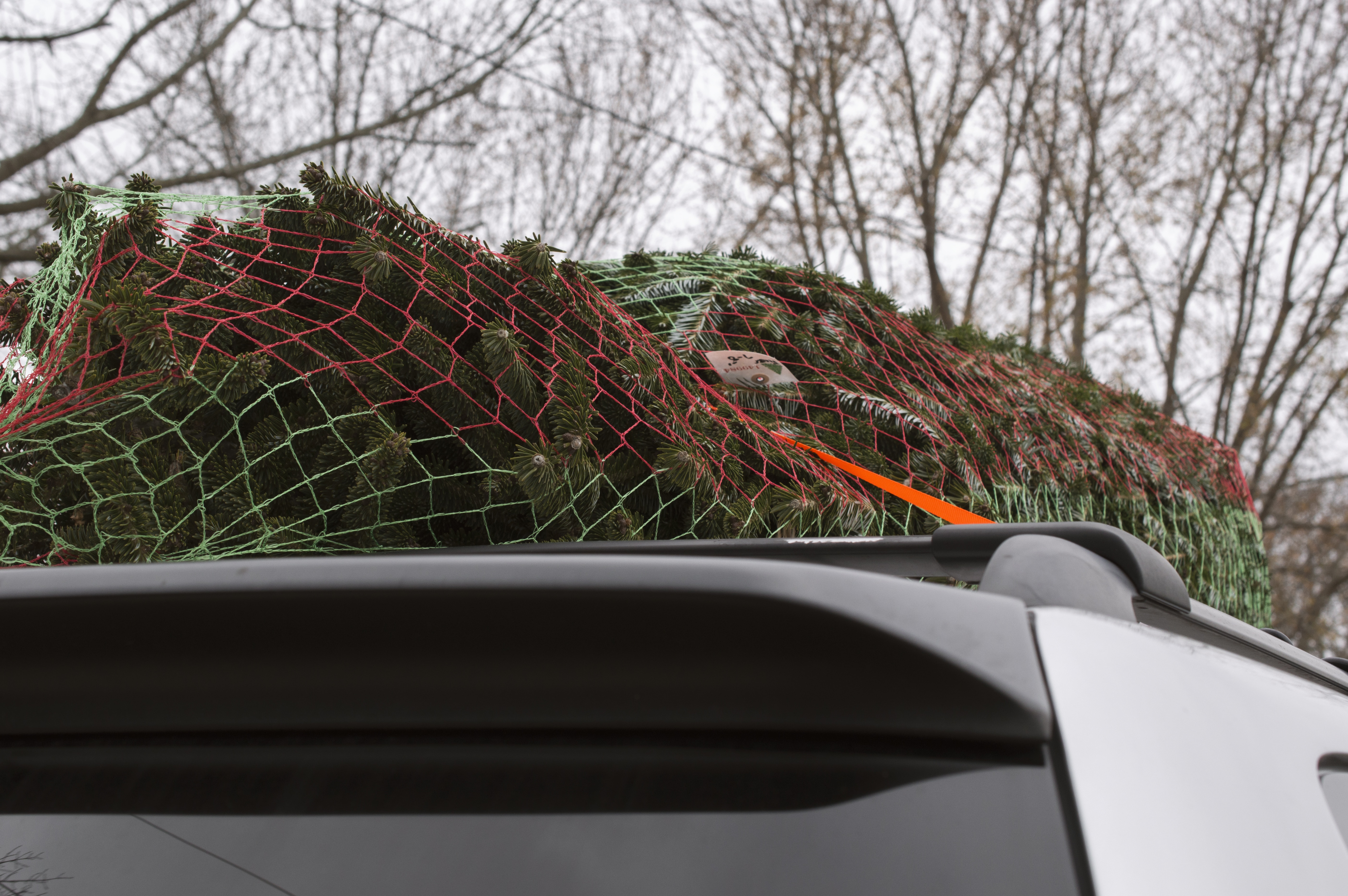 green net on top of car