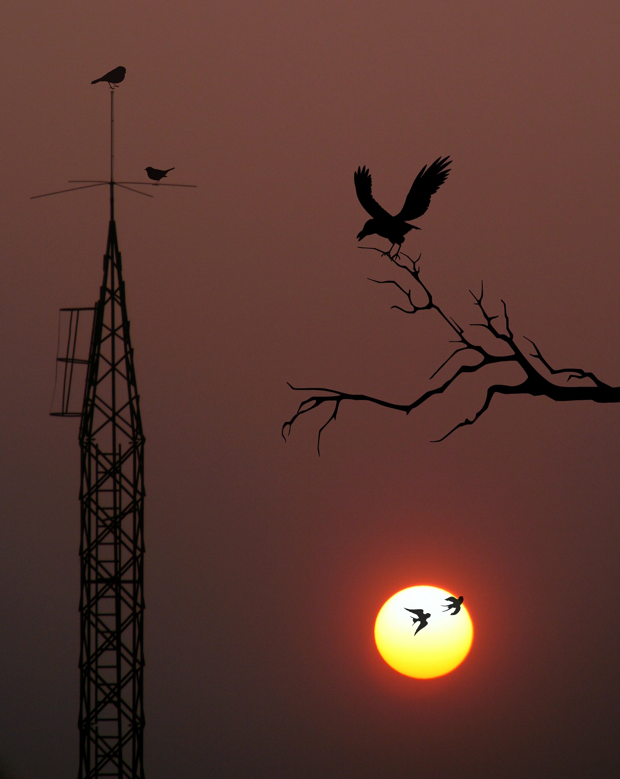 black bird and tower
