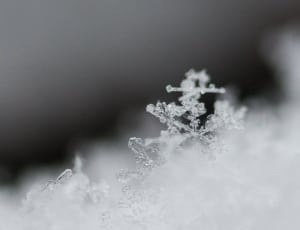 snow flakes thumbnail