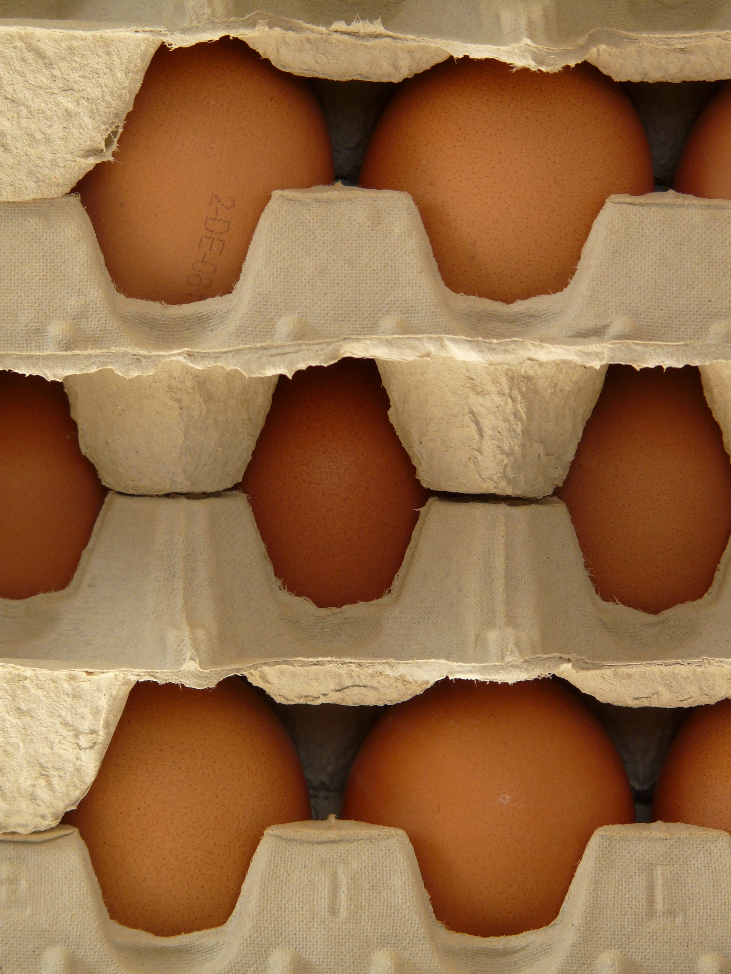 organic egg lot