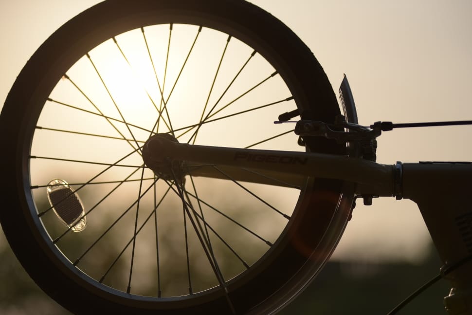 silhouette of bicycle rim preview