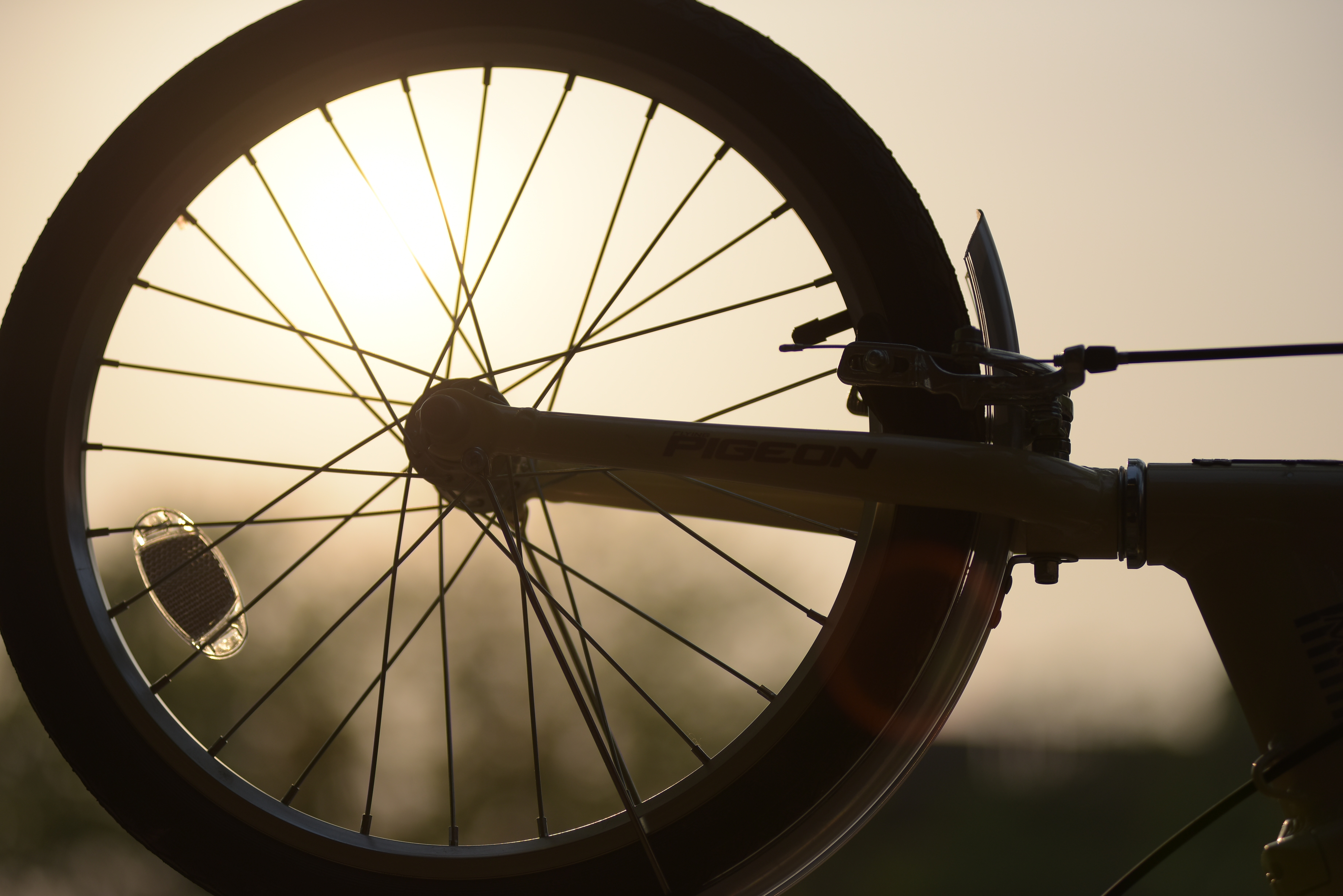 silhouette of bicycle rim