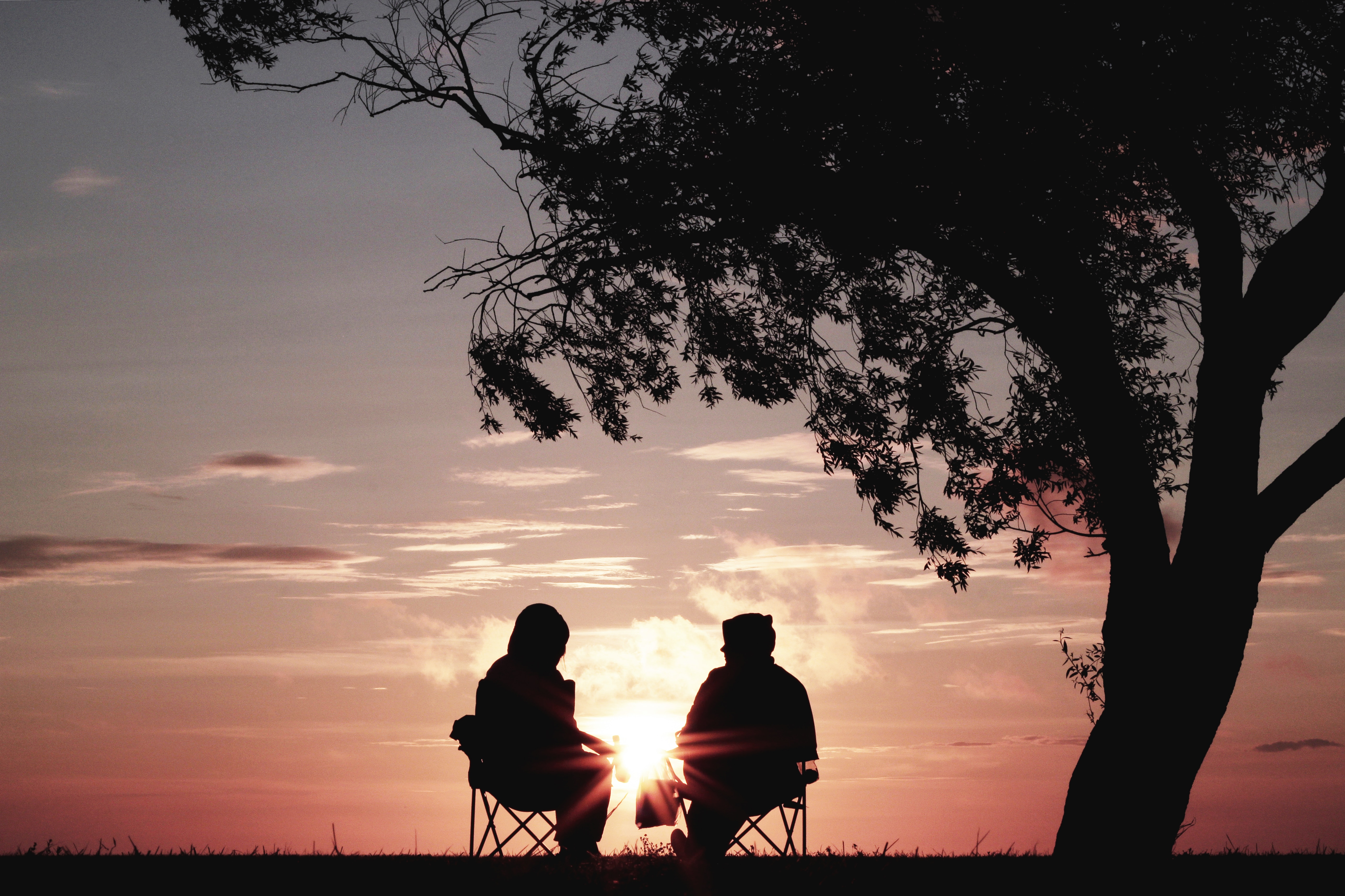 silhouette of man and woman sitting near tree