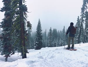 person snowskiing during daytime thumbnail