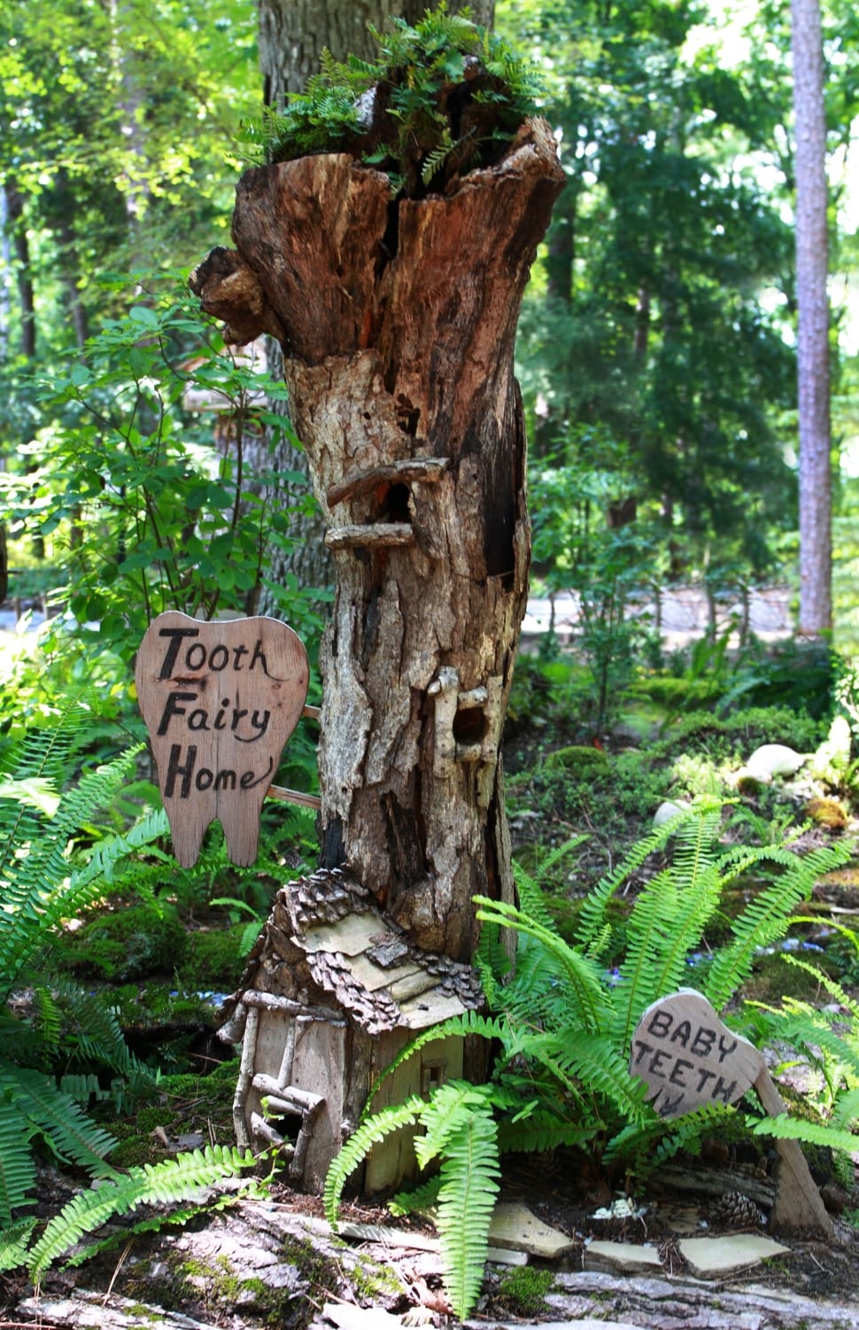 brown tooth fairy home tree house preview