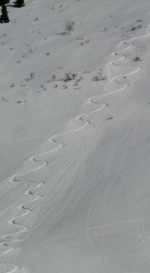 white ski tracks thumbnail
