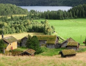 green and brown wooden houses thumbnail