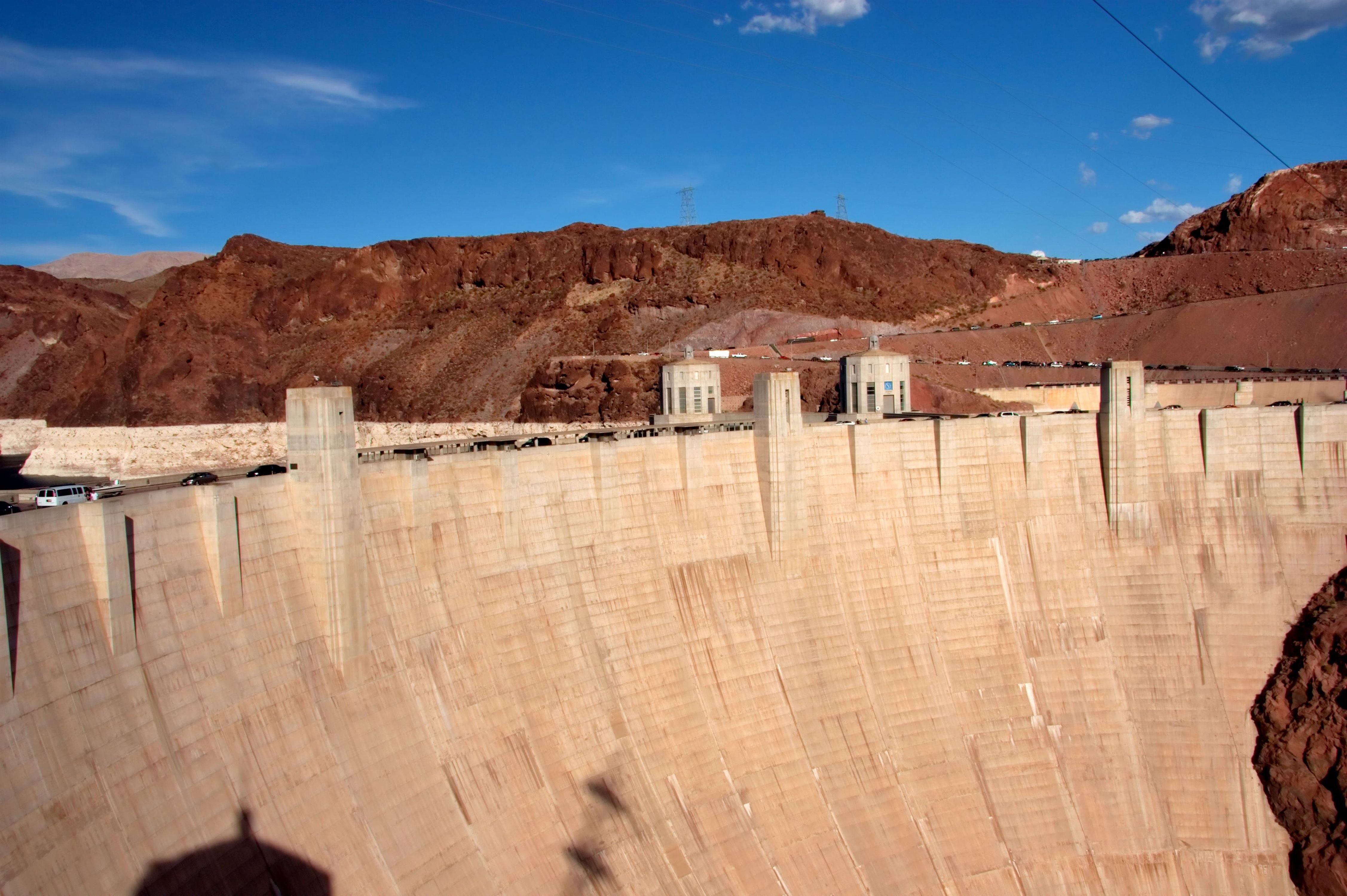 brown and white dam