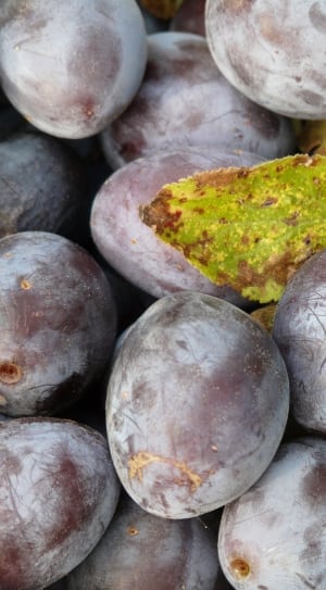 grape fruits thumbnail