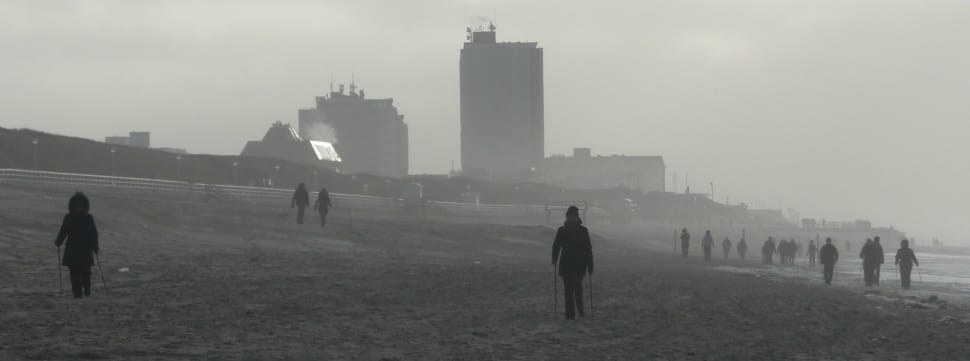 people walking on a foggy beach preview