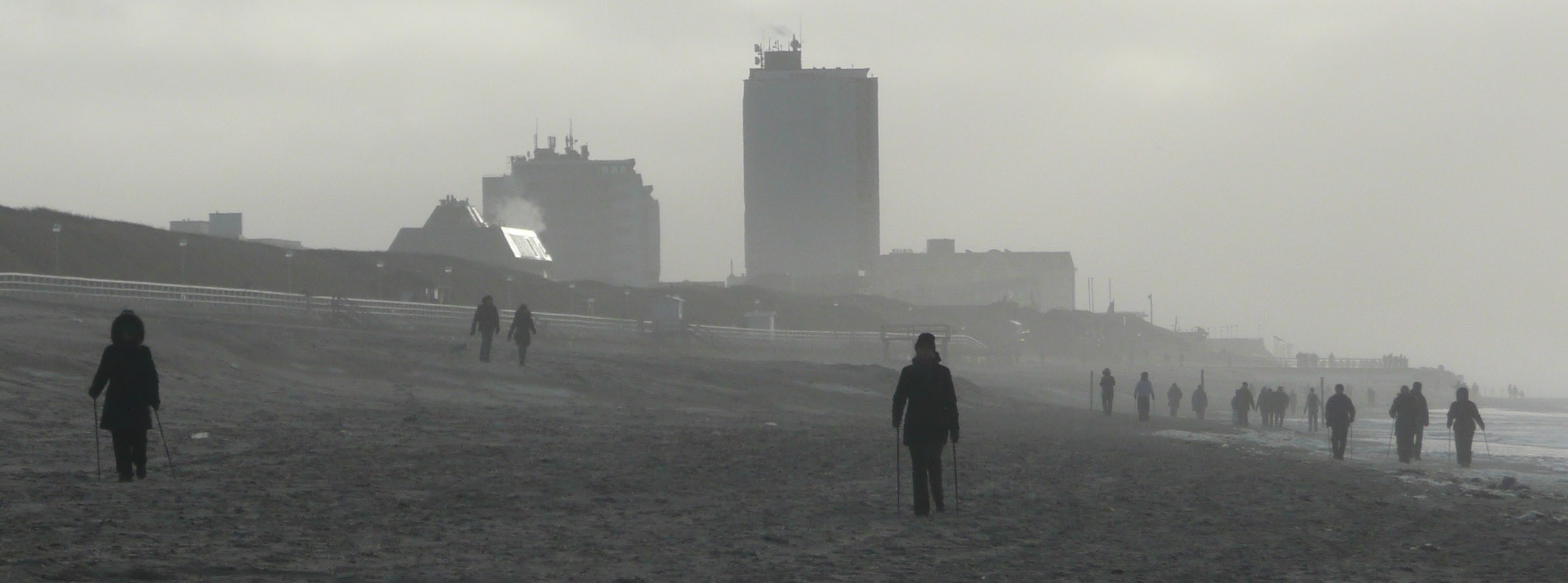 people walking on a foggy beach