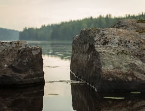 forest lakeside with rocks during daytimne thumbnail