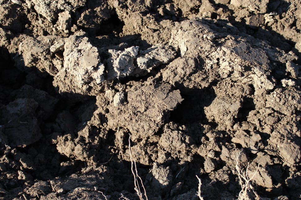 photo of brown soil during daytime preview