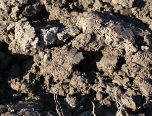 photo of brown soil during daytime thumbnail