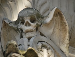 grey and beige concrete skull statue thumbnail