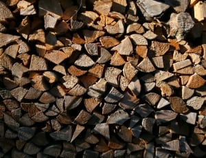 brown and grey firewood lot thumbnail