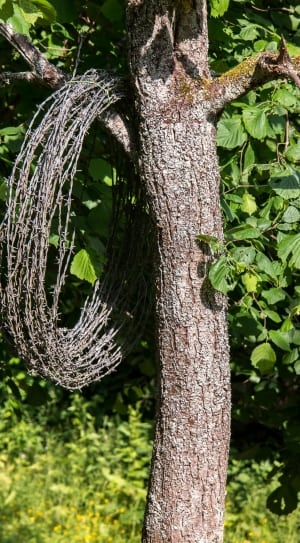 gray steel barb wire thumbnail
