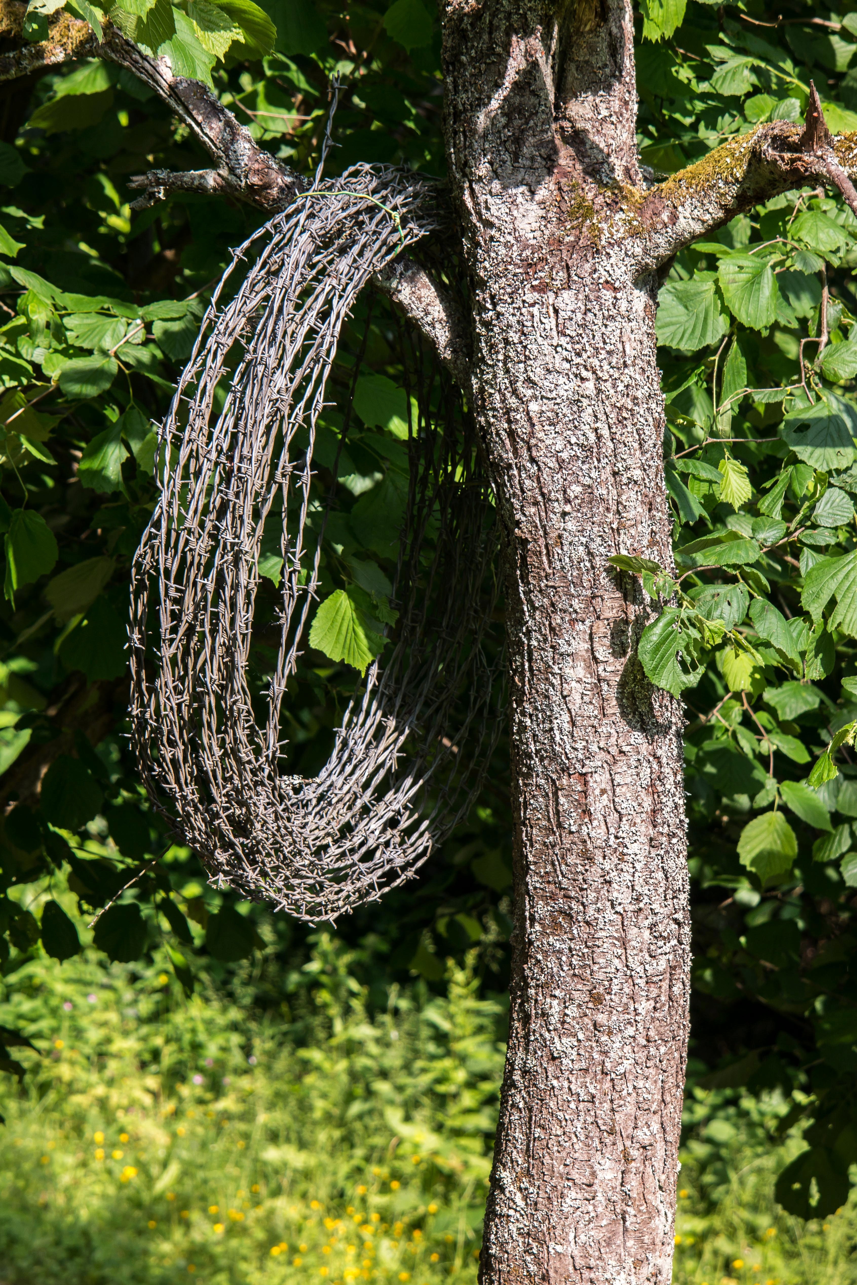 gray steel barb wire