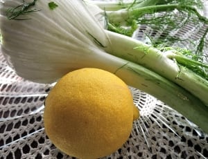 lemon citrus thumbnail
