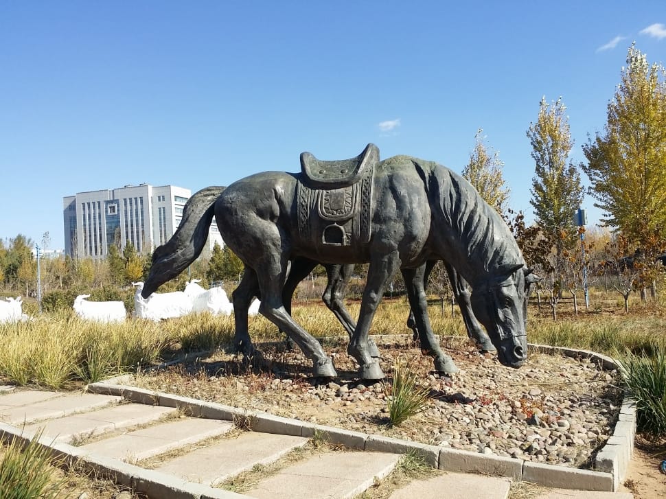 Inner Mongolia, Jingkiseukan, animal, one animal preview