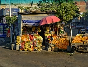 fruit stand with assorted fruits display thumbnail