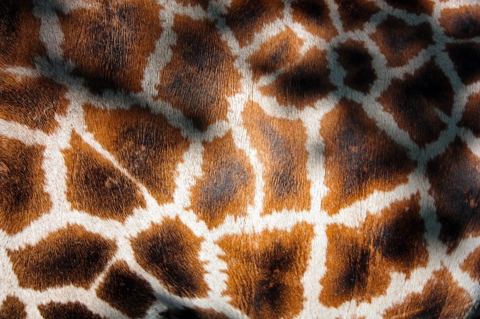 giraffe skin textile preview