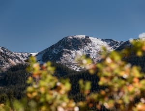 landscape photography of mountain covered with snow thumbnail