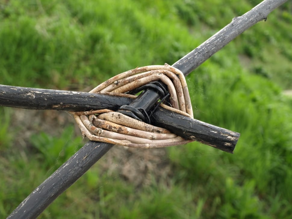shallow focus photo of brown rope and black twigs preview