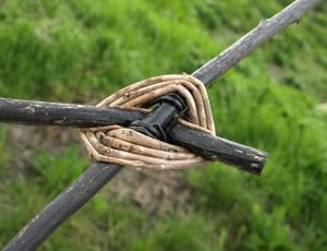 shallow focus photo of brown rope and black twigs thumbnail