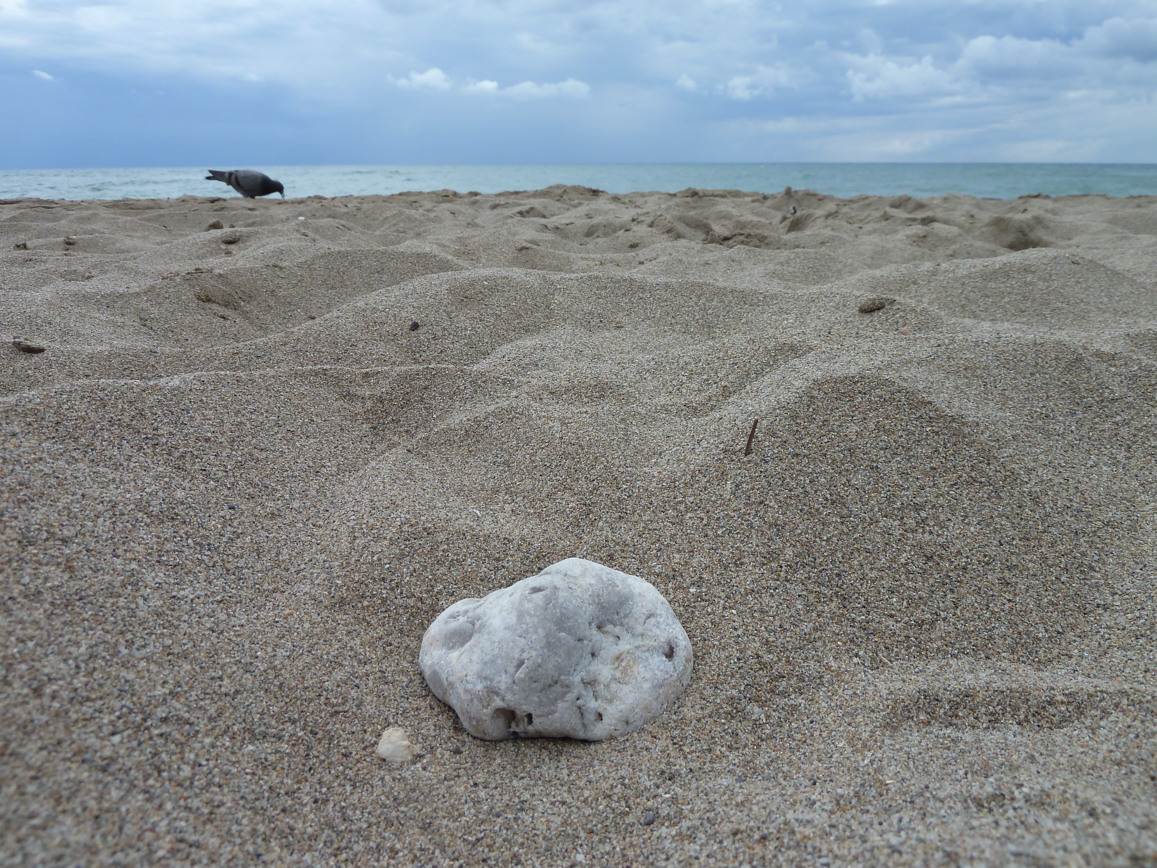 gray sand and white stone