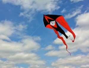 red white and black kite thumbnail