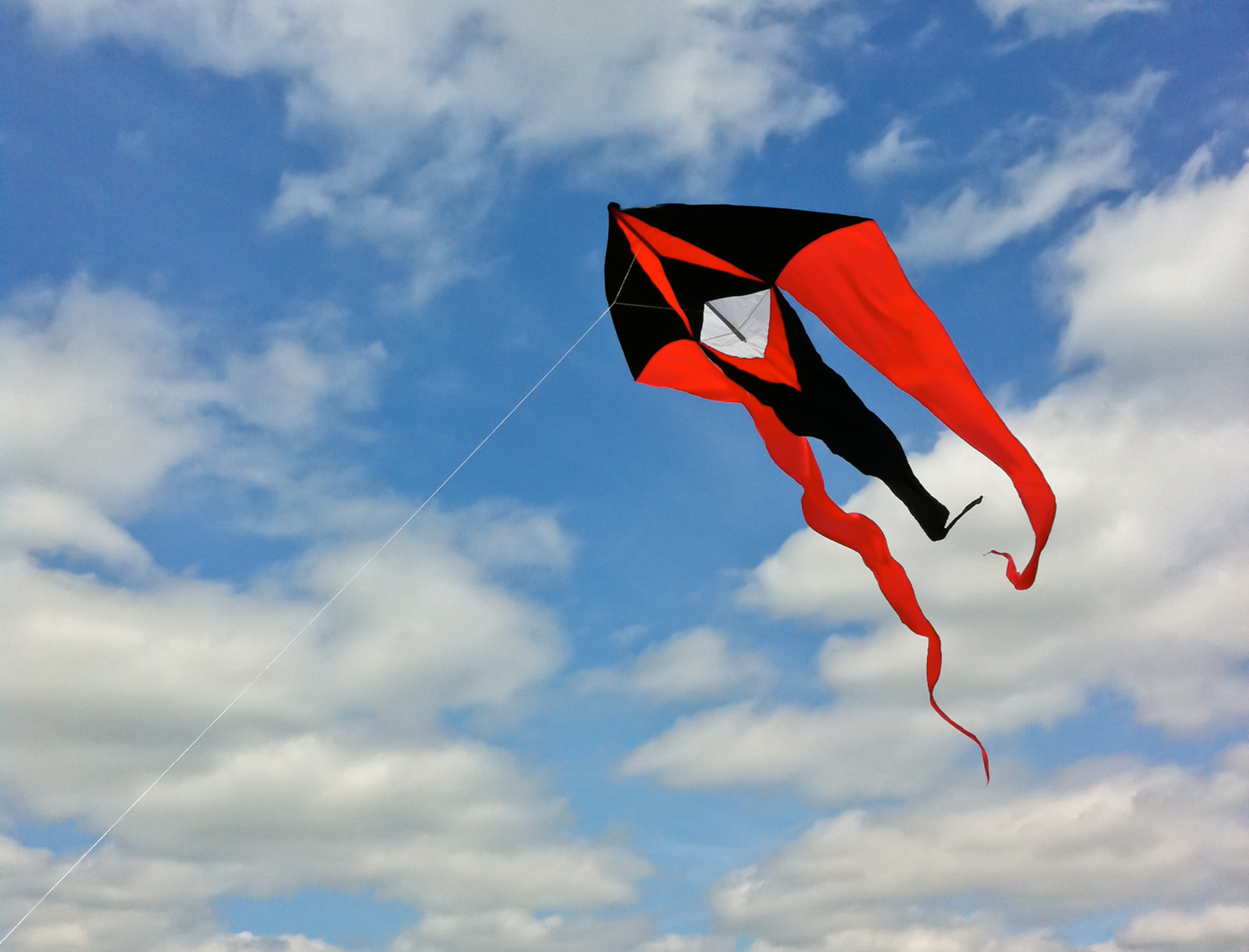 red white and black kite