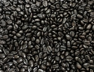 black coffee beans thumbnail