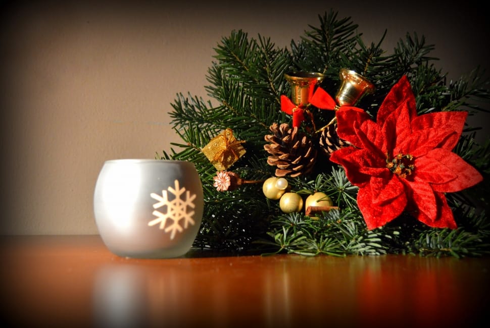 christmas tree,poinsettia flower and frosted glass preview