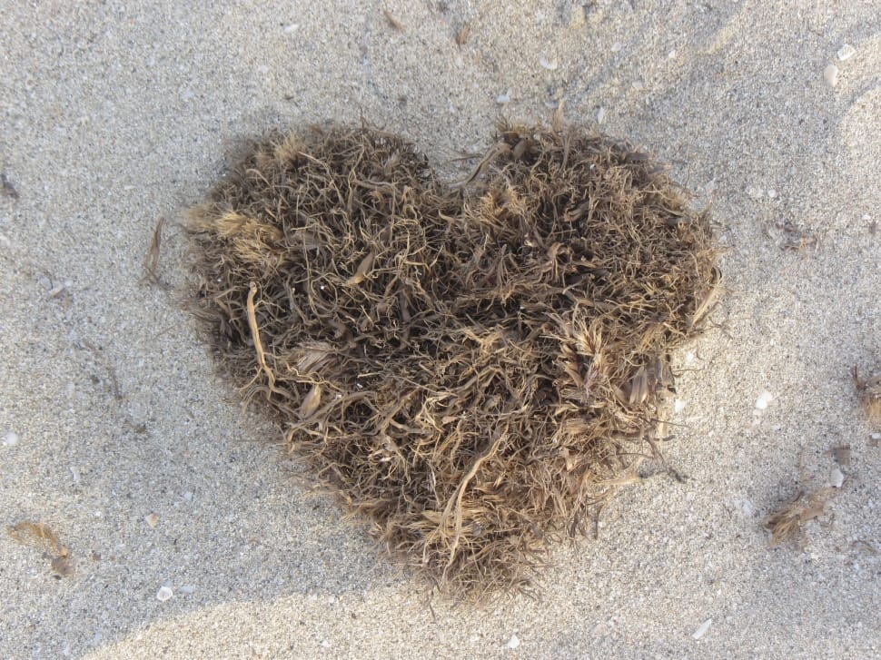 brown hay heart decoration preview