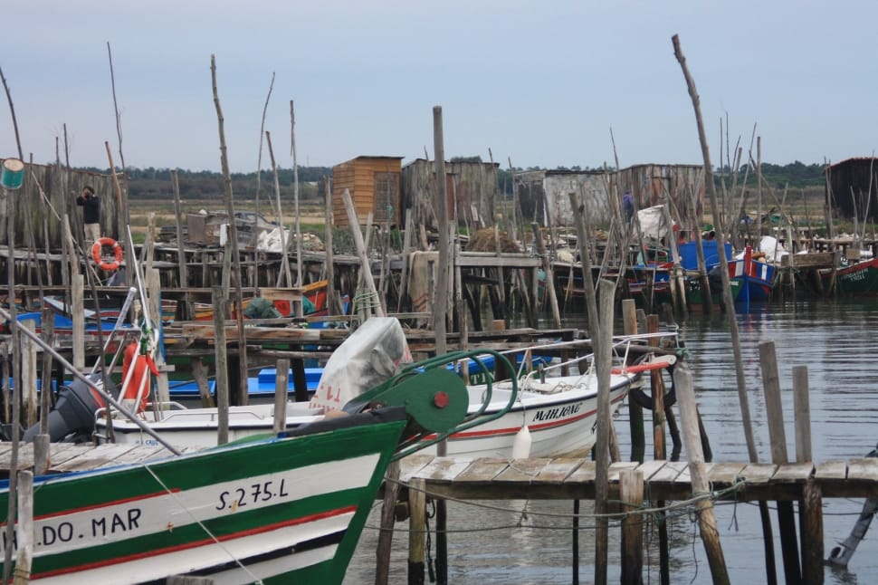 assorted fishing boats on dock during daytime preview