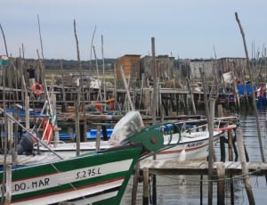 assorted fishing boats on dock during daytime thumbnail